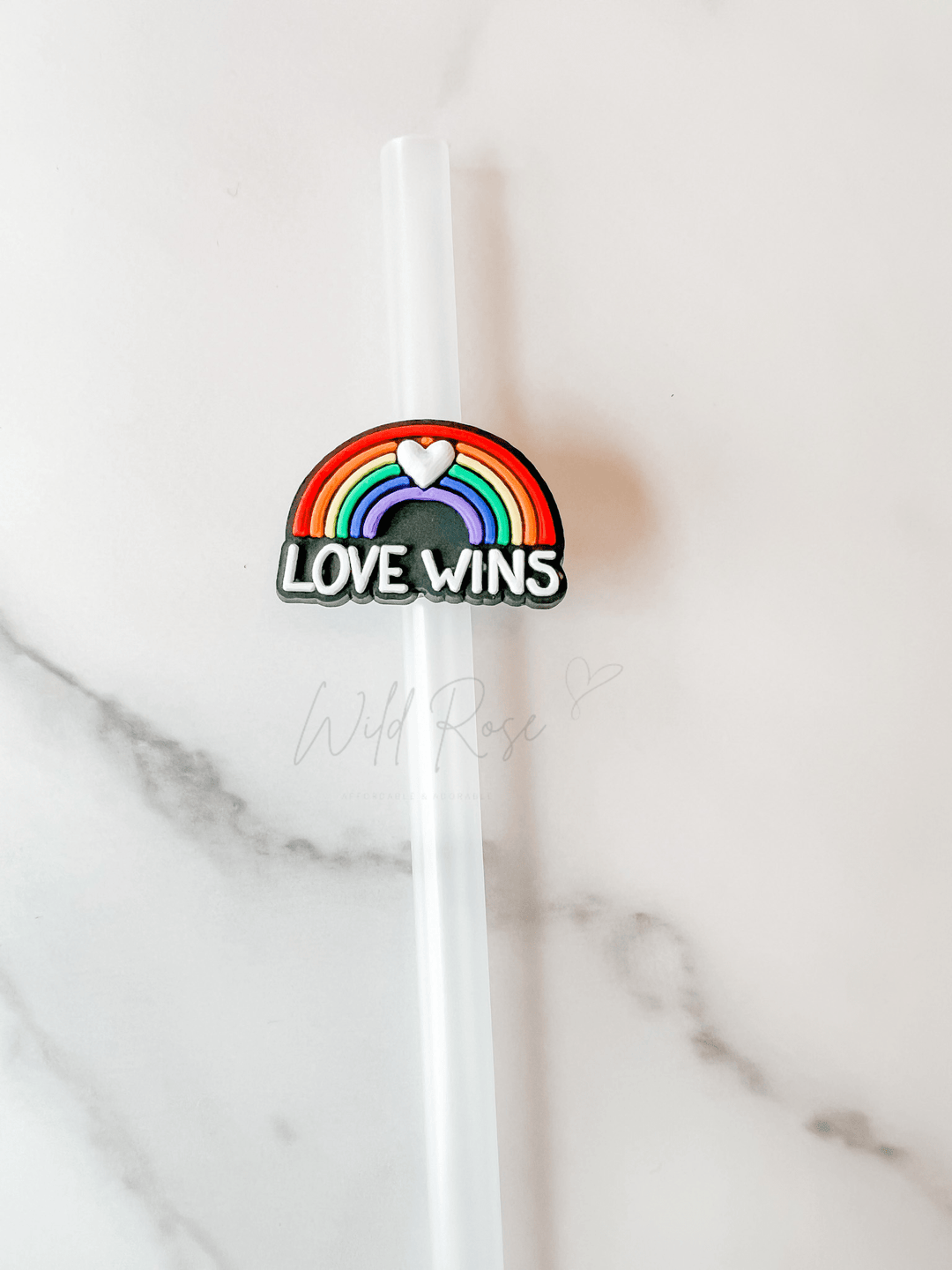 Love wins rainbow straw accessory
