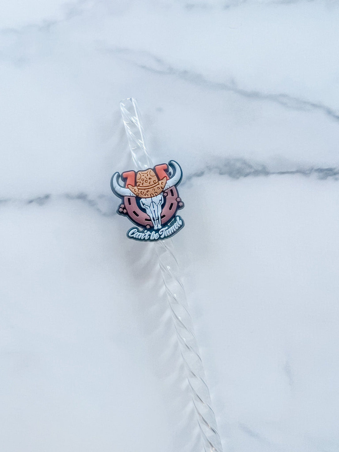 Can’t be tamed straw accessory
