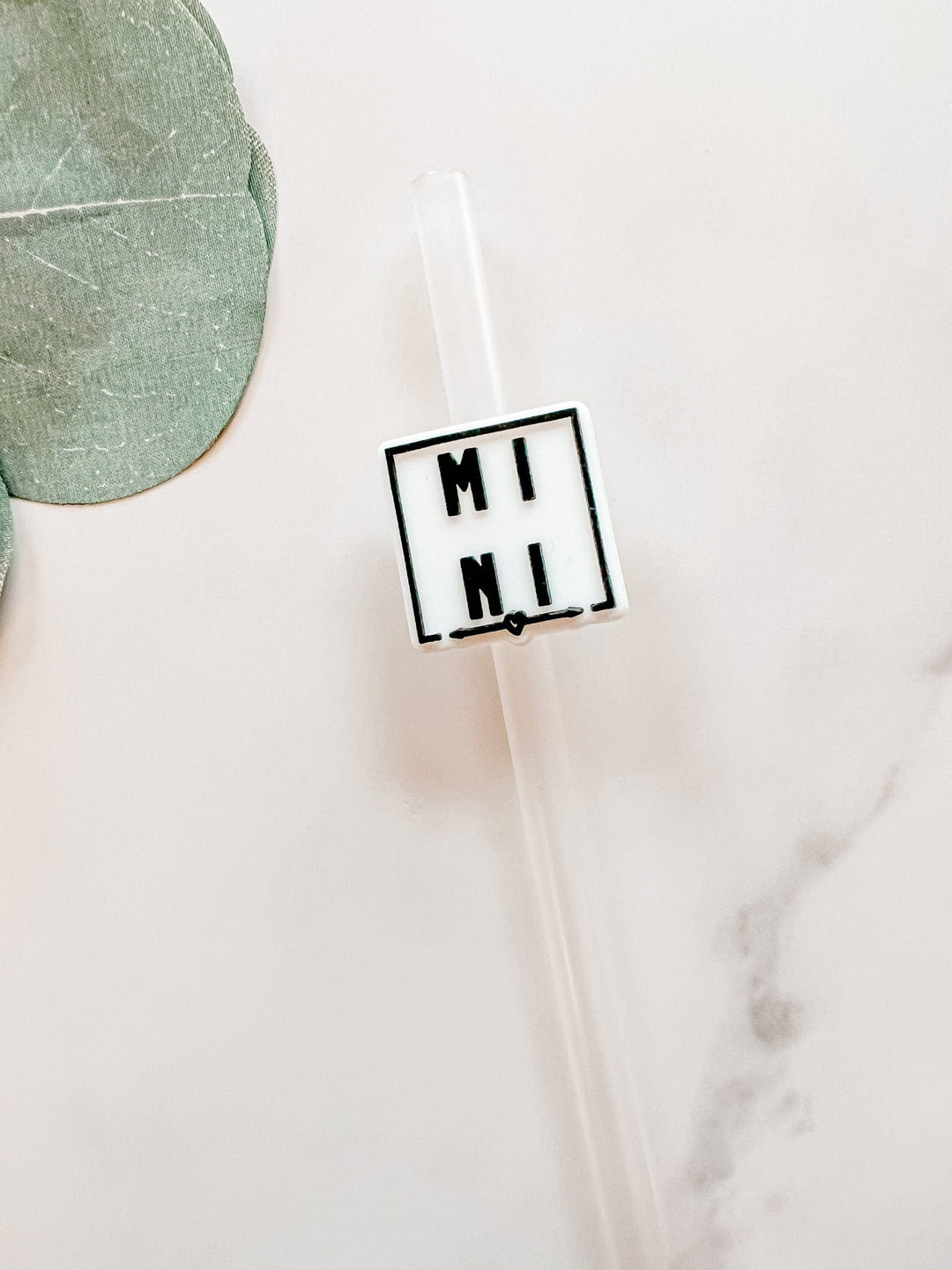Mini straw accessory